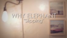 why-elephant
