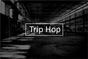 img trip hop 2