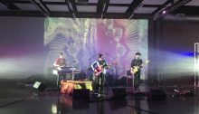 Elephant Stone - Les DCF