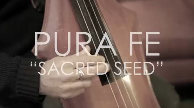 pura-fe