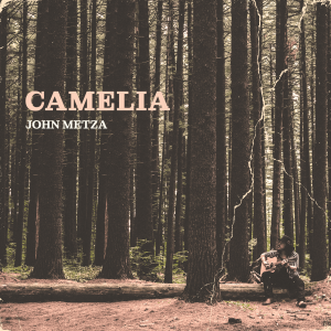John Metza - Camelia