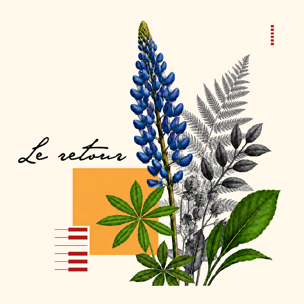 Serge-André Jones - Le Retour